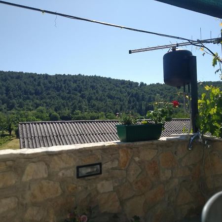Milica App Skradinsko Polje 24 Hotel Bagian luar foto